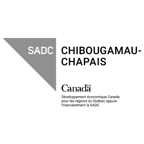 Logo du SADC de Chibougamau-Chapais - Entreprise ayant fait appel aux services conseils de Marie-Andrée Roy | Marie-Andrée Roy, Services conseil et Design Thinking